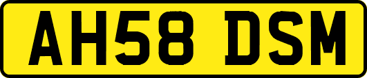 AH58DSM