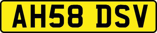 AH58DSV