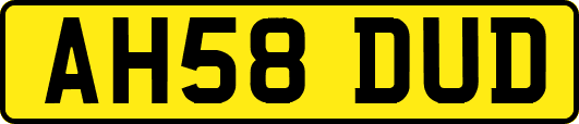AH58DUD