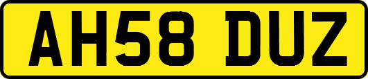 AH58DUZ