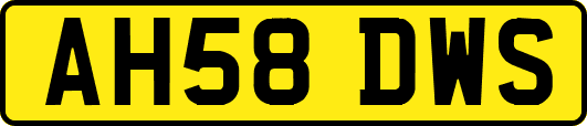 AH58DWS