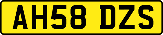 AH58DZS