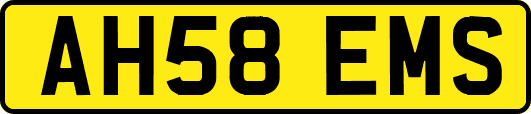 AH58EMS