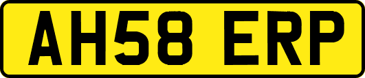 AH58ERP