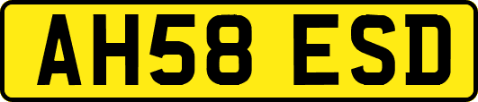 AH58ESD