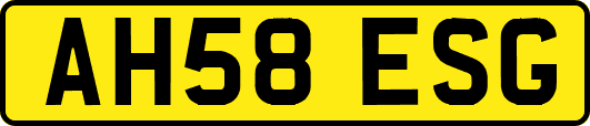 AH58ESG