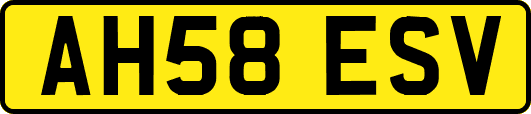 AH58ESV