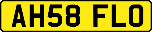 AH58FLO