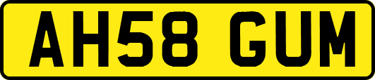 AH58GUM