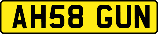 AH58GUN