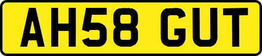 AH58GUT