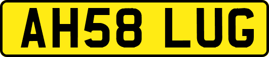 AH58LUG