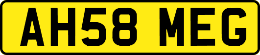 AH58MEG