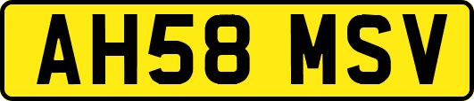 AH58MSV