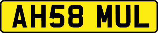 AH58MUL