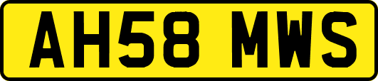 AH58MWS