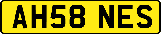 AH58NES