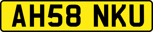 AH58NKU