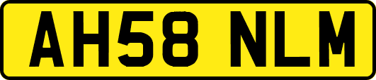 AH58NLM