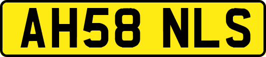 AH58NLS