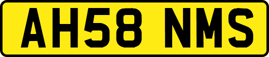 AH58NMS
