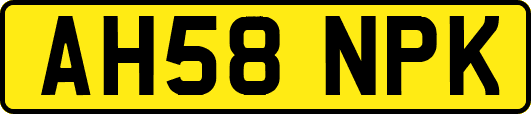 AH58NPK