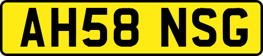 AH58NSG