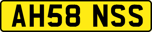 AH58NSS