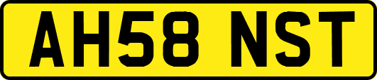 AH58NST