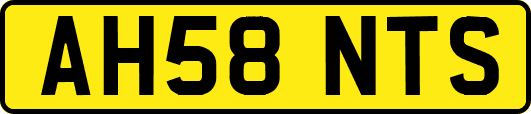 AH58NTS