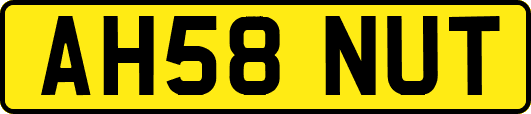 AH58NUT