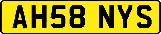 AH58NYS