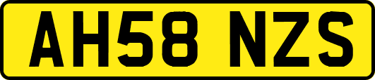 AH58NZS