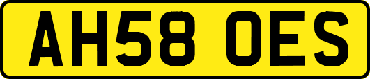 AH58OES