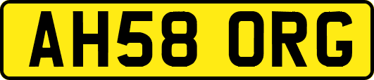 AH58ORG