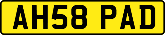 AH58PAD