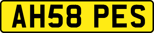 AH58PES