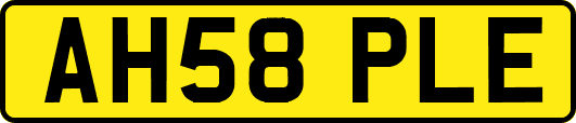 AH58PLE