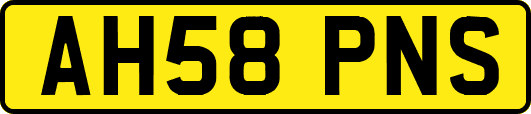 AH58PNS