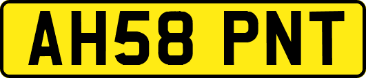 AH58PNT