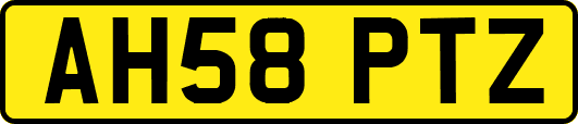 AH58PTZ