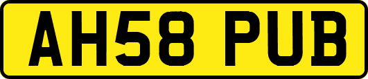 AH58PUB