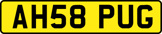 AH58PUG