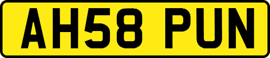 AH58PUN