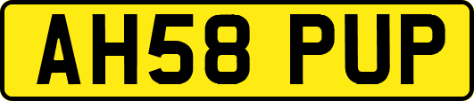 AH58PUP