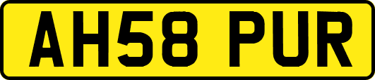 AH58PUR