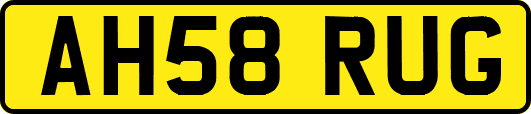 AH58RUG