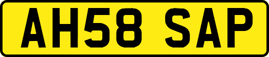 AH58SAP