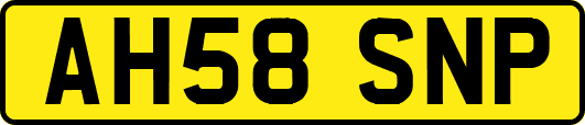 AH58SNP