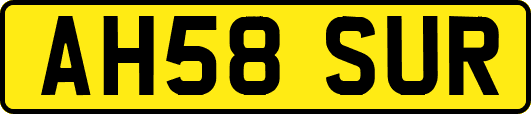 AH58SUR